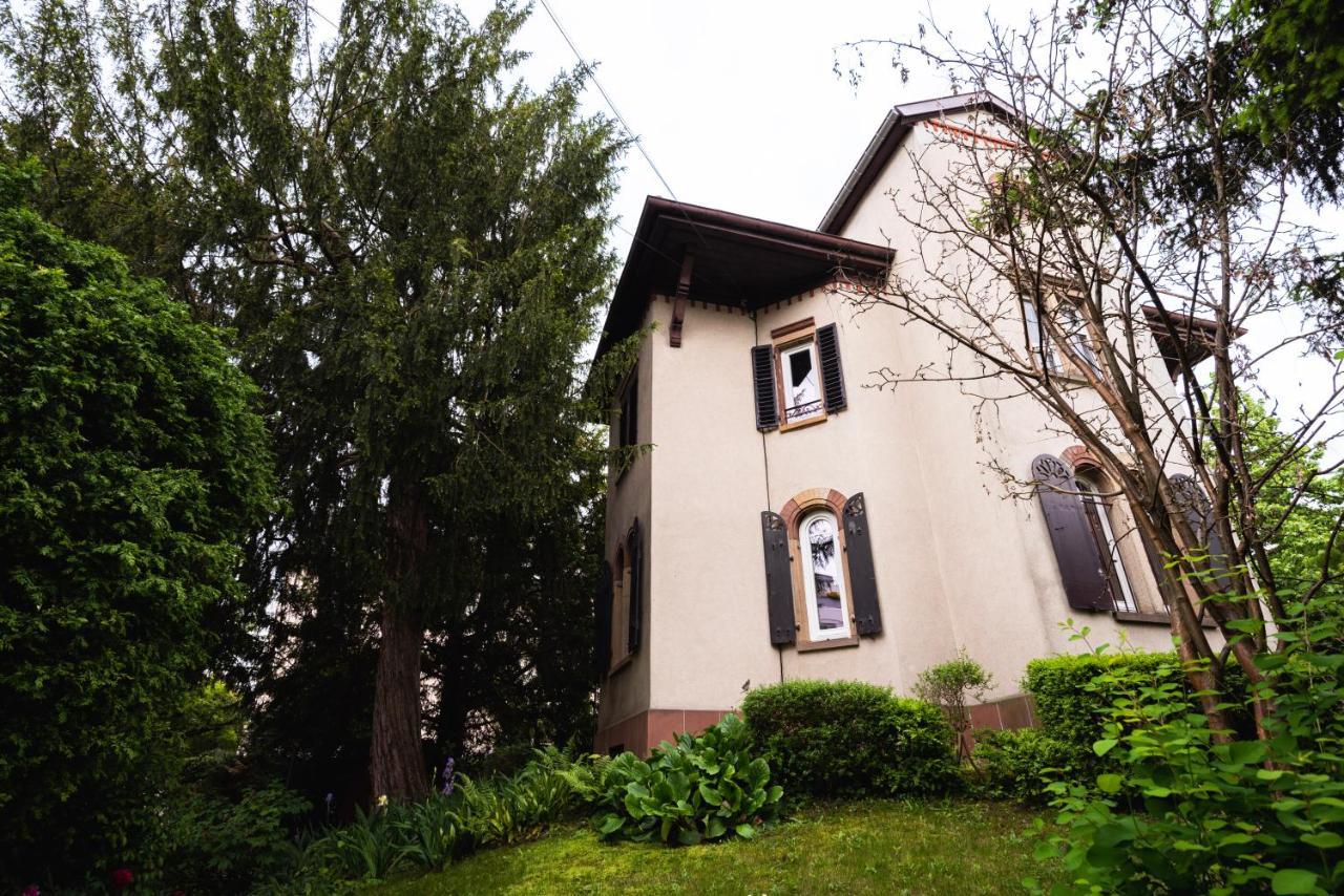 Petit Manoir En Ville - Parking Prive - 15 Min Hyper-Centre 斯特拉斯堡 外观 照片